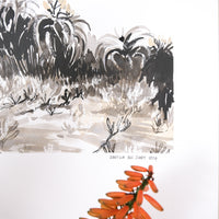 Dune Aloes 01
