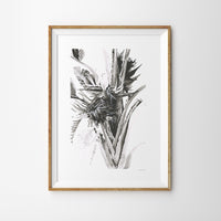 Framed black and white print of strelitzia plant with flower detail