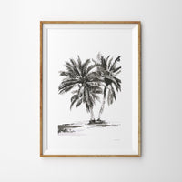 05 | Majestic Palms